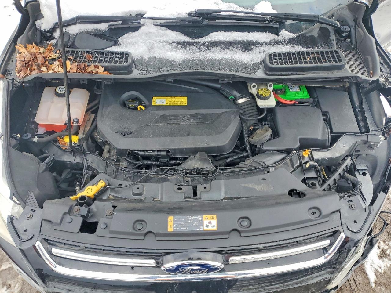 2013 Ford Escape sel