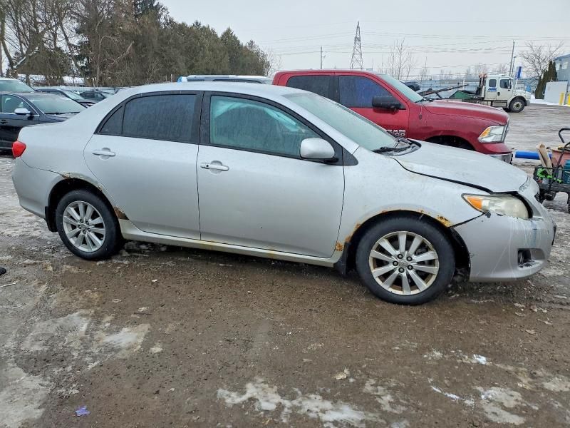 2010 Toyota Corolla Base