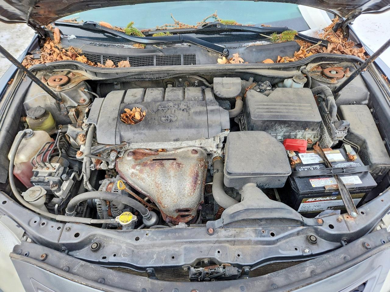 2010 Toyota Camry Base