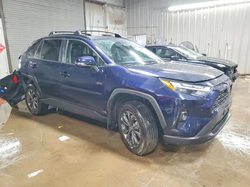 2025 Toyota Rav4 xle Premium