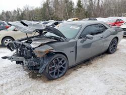 Dodge salvage cars for sale: 2023 Dodge Challenger R/T