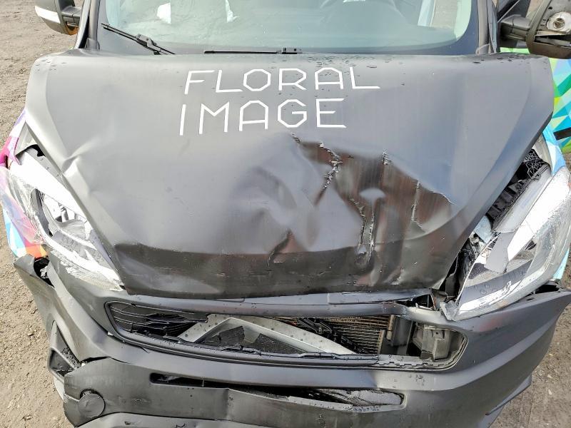 2021 Dodge Ram Promaster City Delivery van