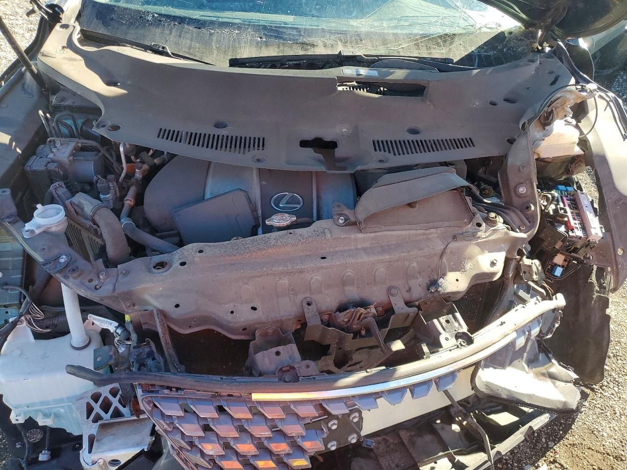 2020 Lexus Rx 350 Base