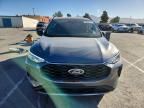 2025 Ford Escape st Line