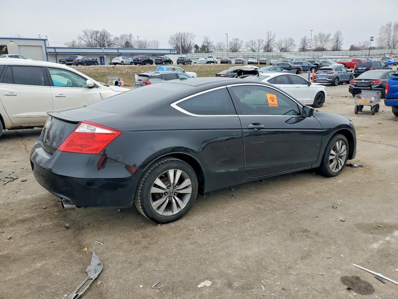 2009 Honda Accord exl