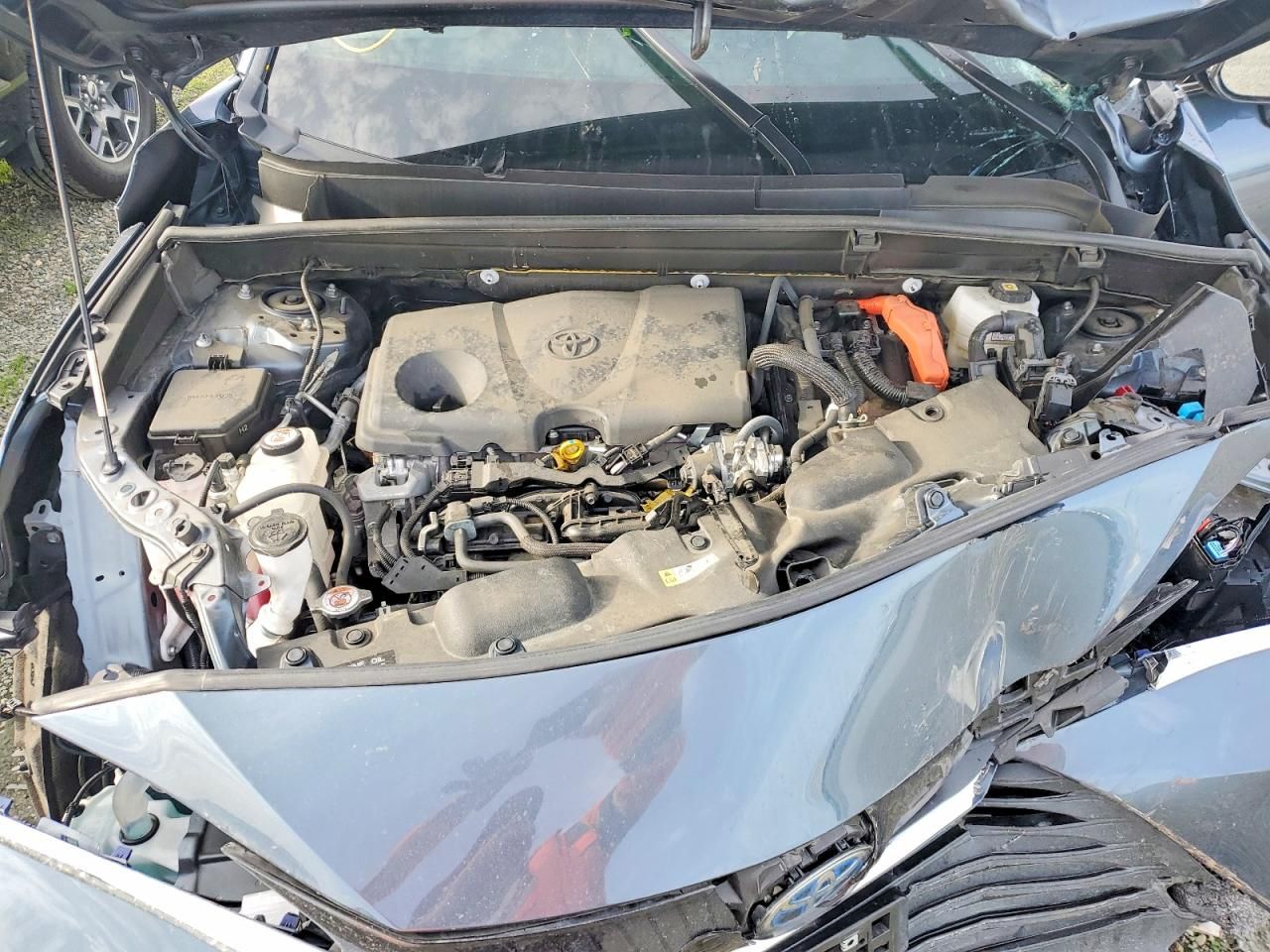 2023 Toyota Venza le