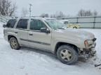 2003 Chevrolet Trailblazer