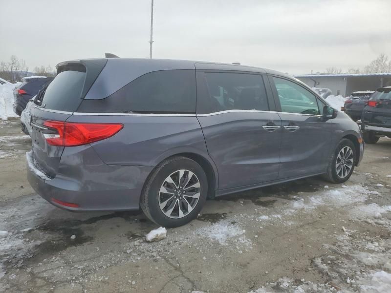 2024 Honda Odyssey exl
