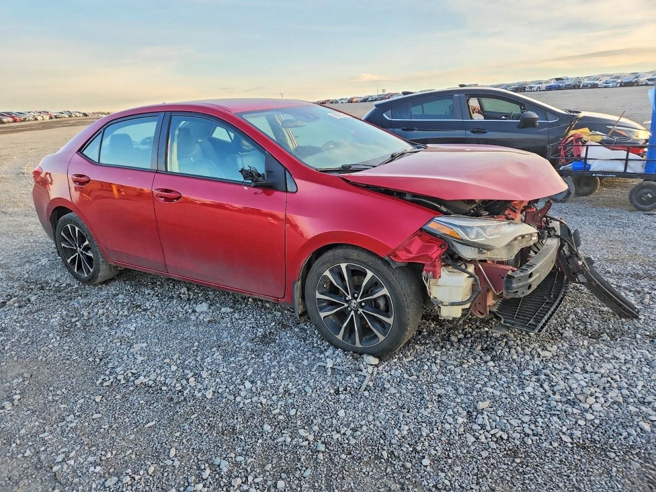 2019 Toyota Corolla l