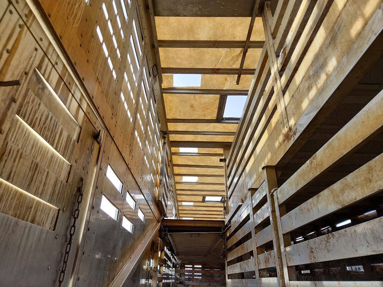 2019 Mheb Trailer