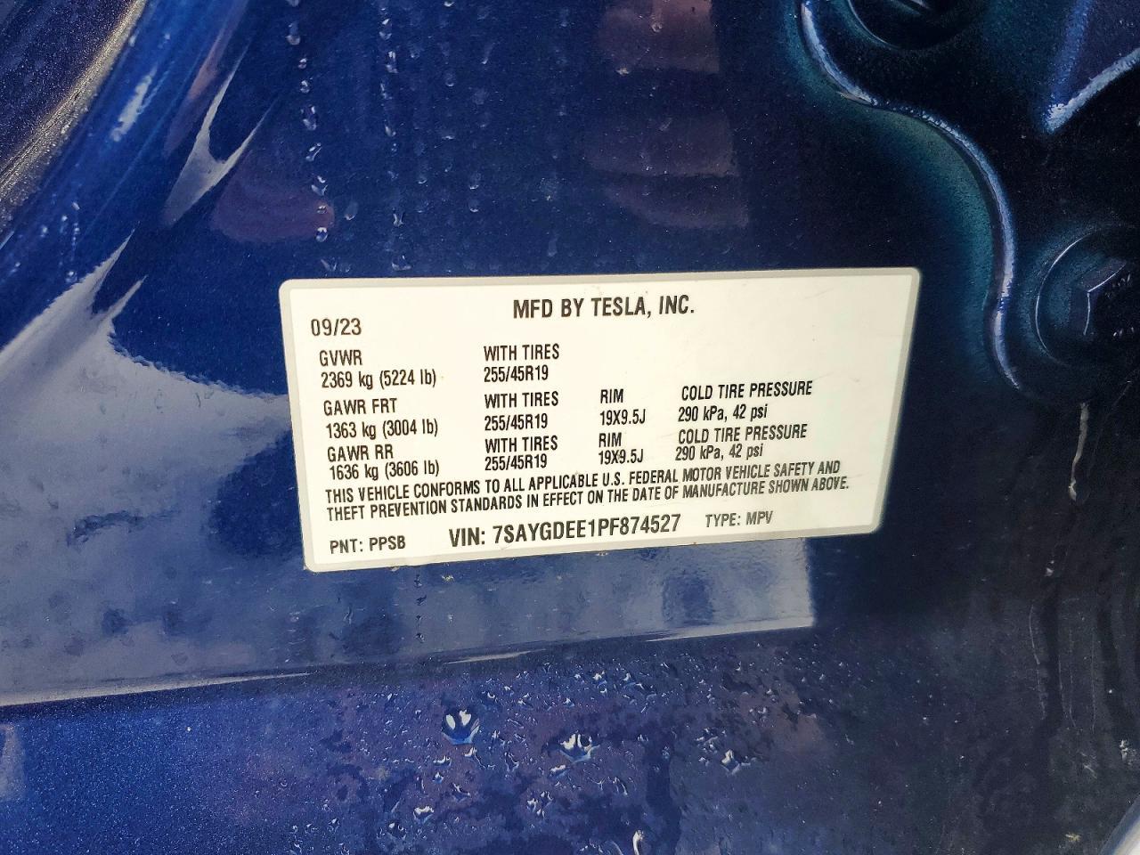 2023 Tesla Model y