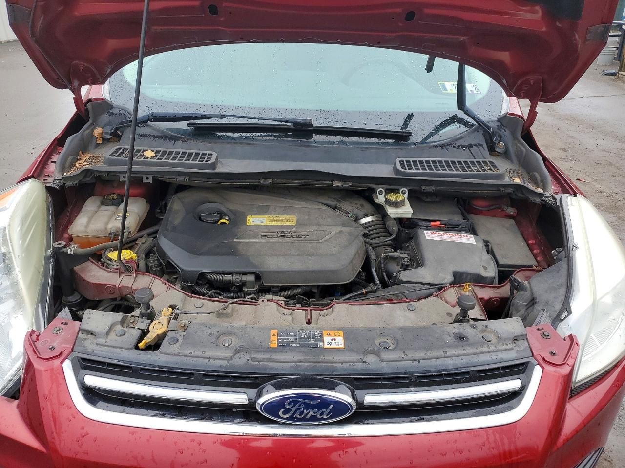 2013 Ford Escape sel