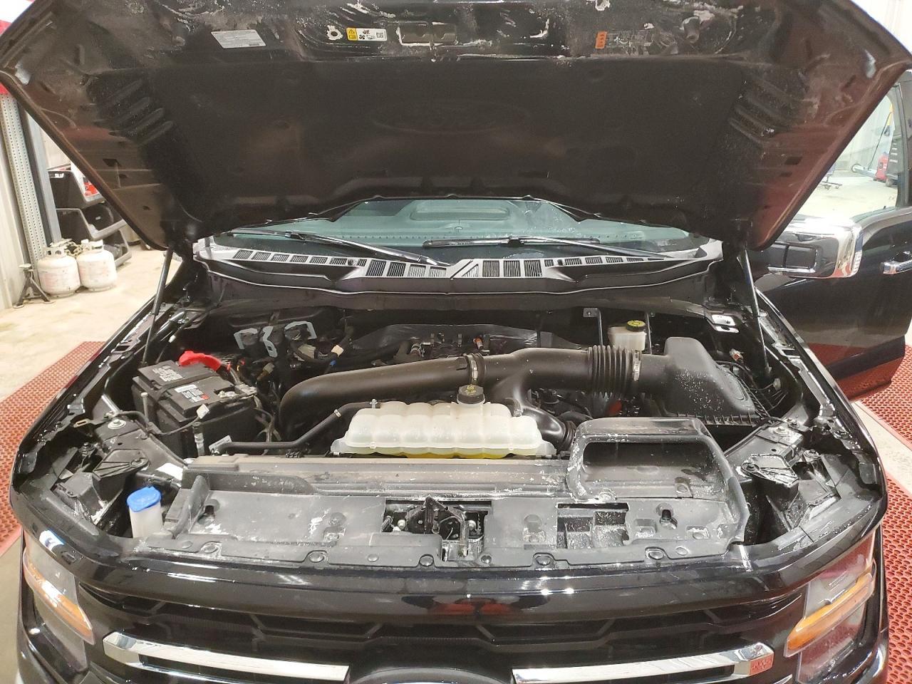 2024 Ford F150 xlt