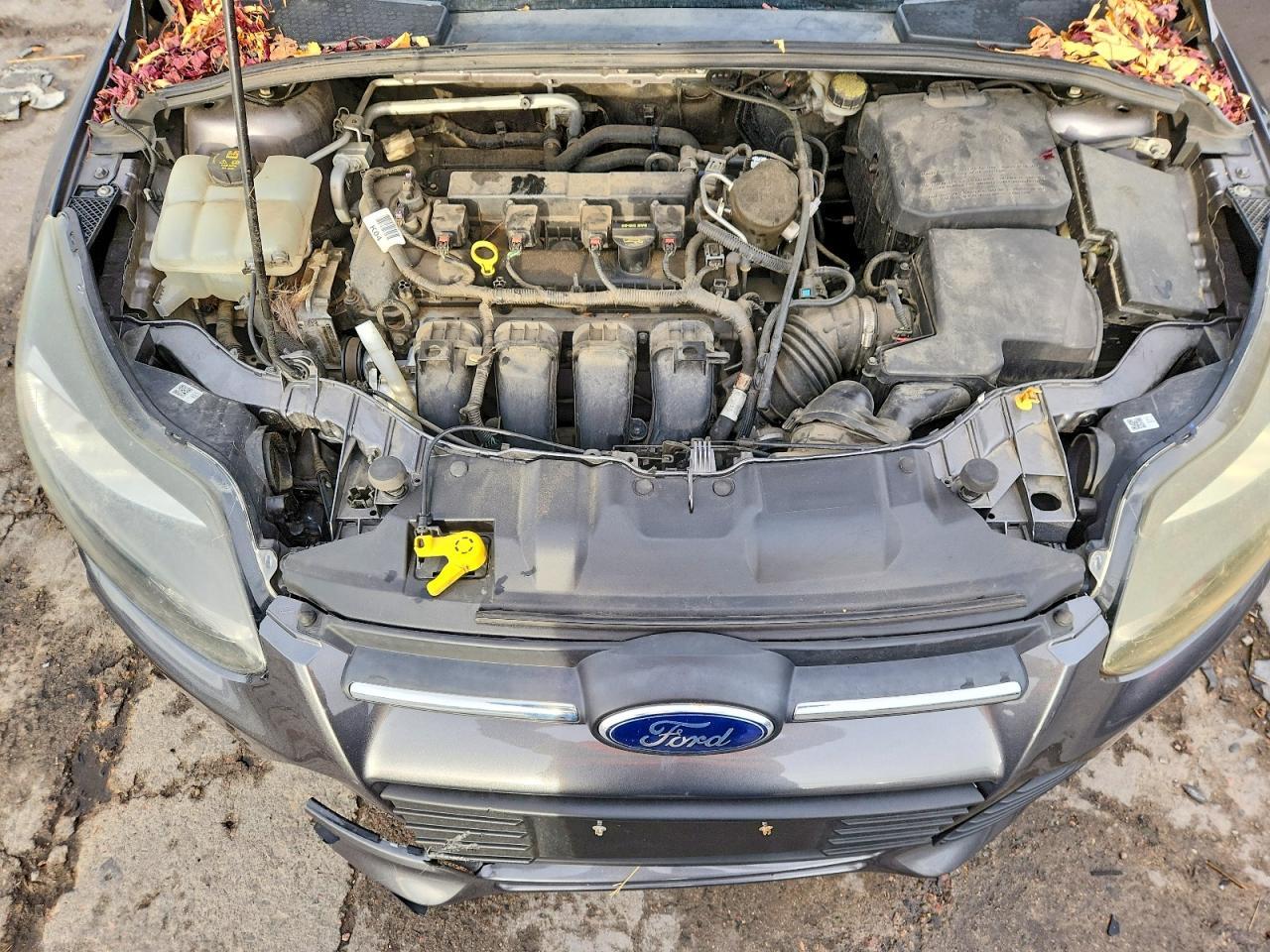 2014 Ford Focus se