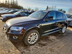 Audi q5 Vehiculos salvage en venta: 2015 Audi Q5 Premium Plus