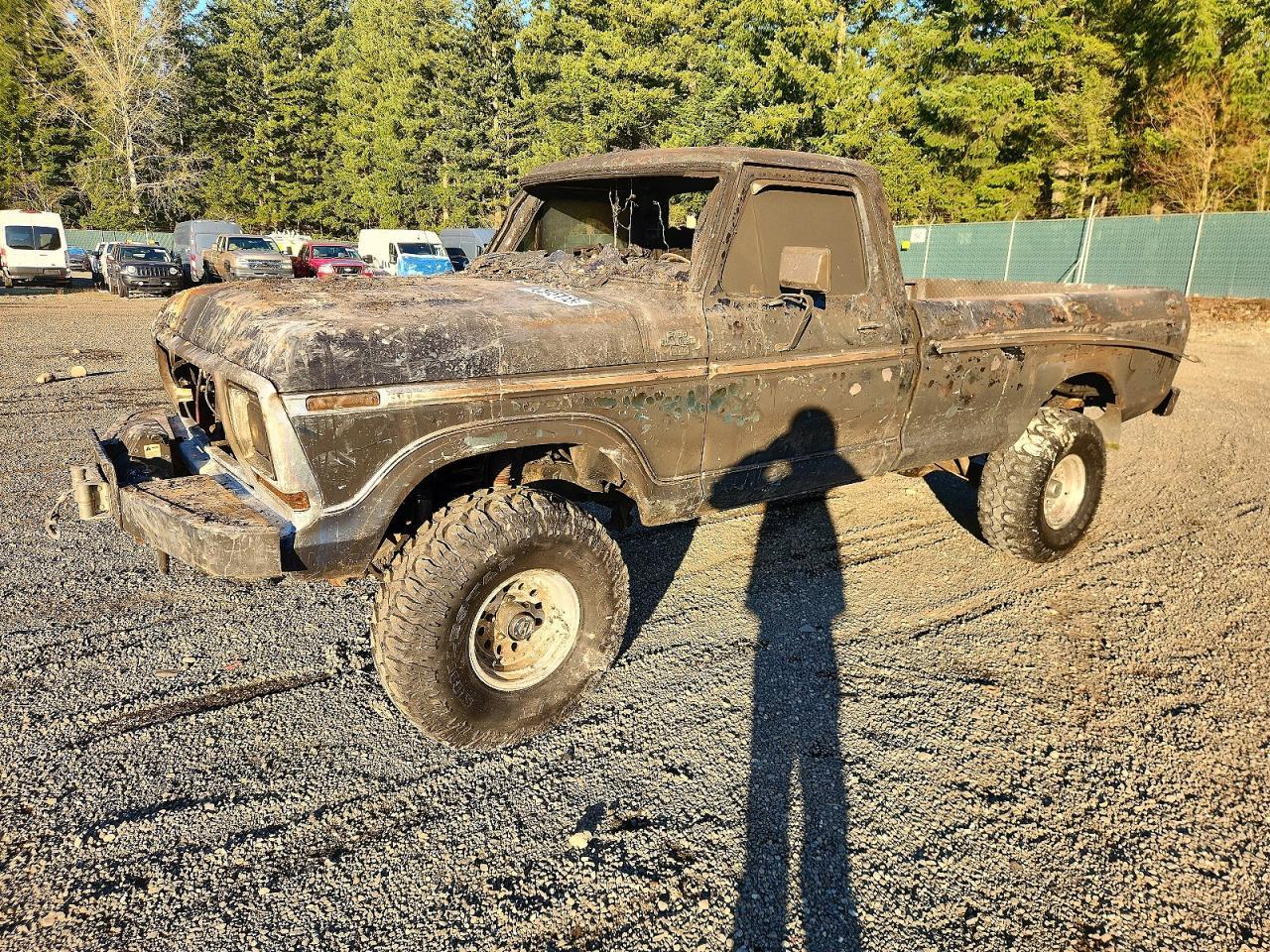 1979 Ford F100 Serie