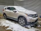 2019 Honda Cr-v exl
