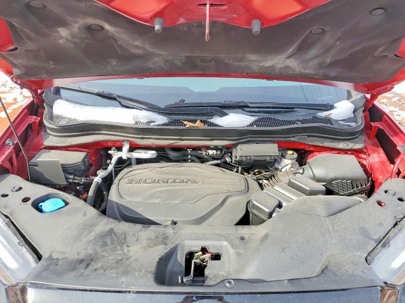 2022 Honda Passport Trail Sport