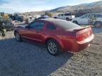 2005 Ford Mustang
