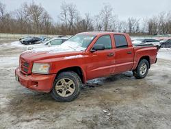 Dodge salvage cars for sale: 2008 Dodge Dakota Sport