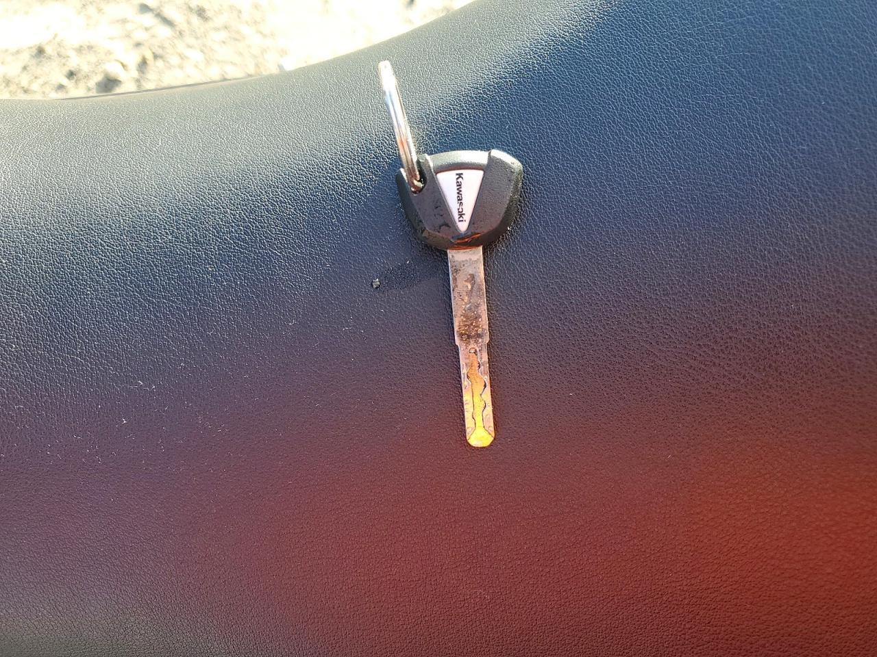 2024 Kawasaki EX500 H