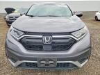 2022 Honda Cr-v exl