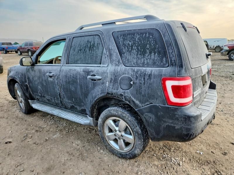 2010 Ford Escape Limited