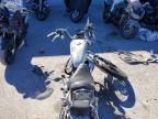 2004 Harley-Davidson XL883