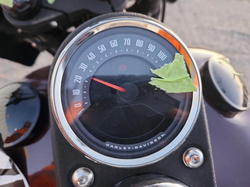 2021 Harley-Davidson Fxlrs