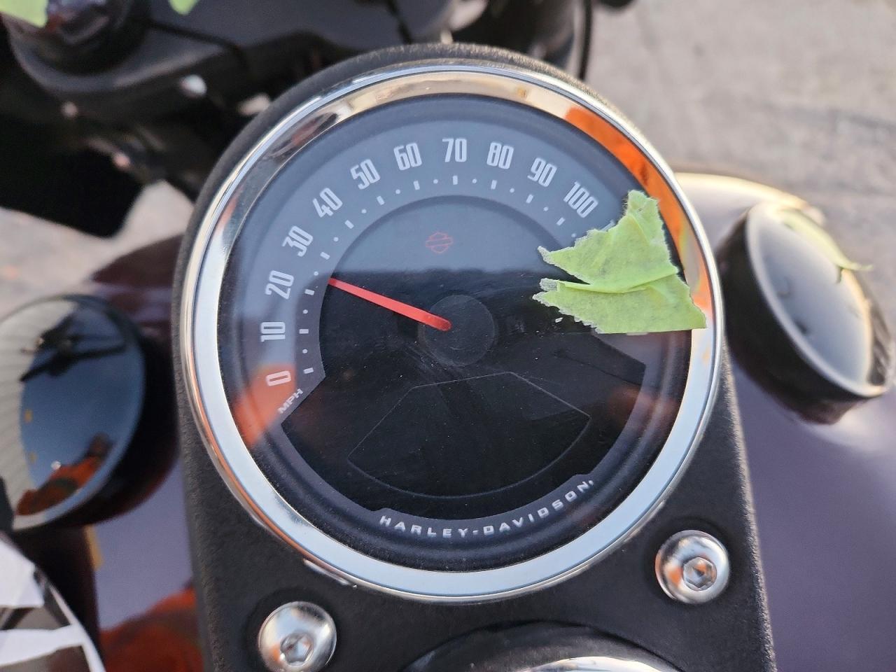 2021 Harley-Davidson Fxlrs