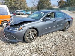 Lexus Vehiculos salvage en venta: 2023 Lexus Es 250 Base