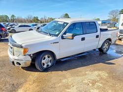 2013 Ford F150 Supercrew for sale in Shreveport, LA
