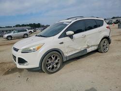 Ford salvage cars for sale: 2013 Ford Escape Titanium