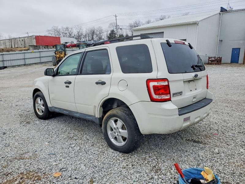 2010 Ford Escape xlt