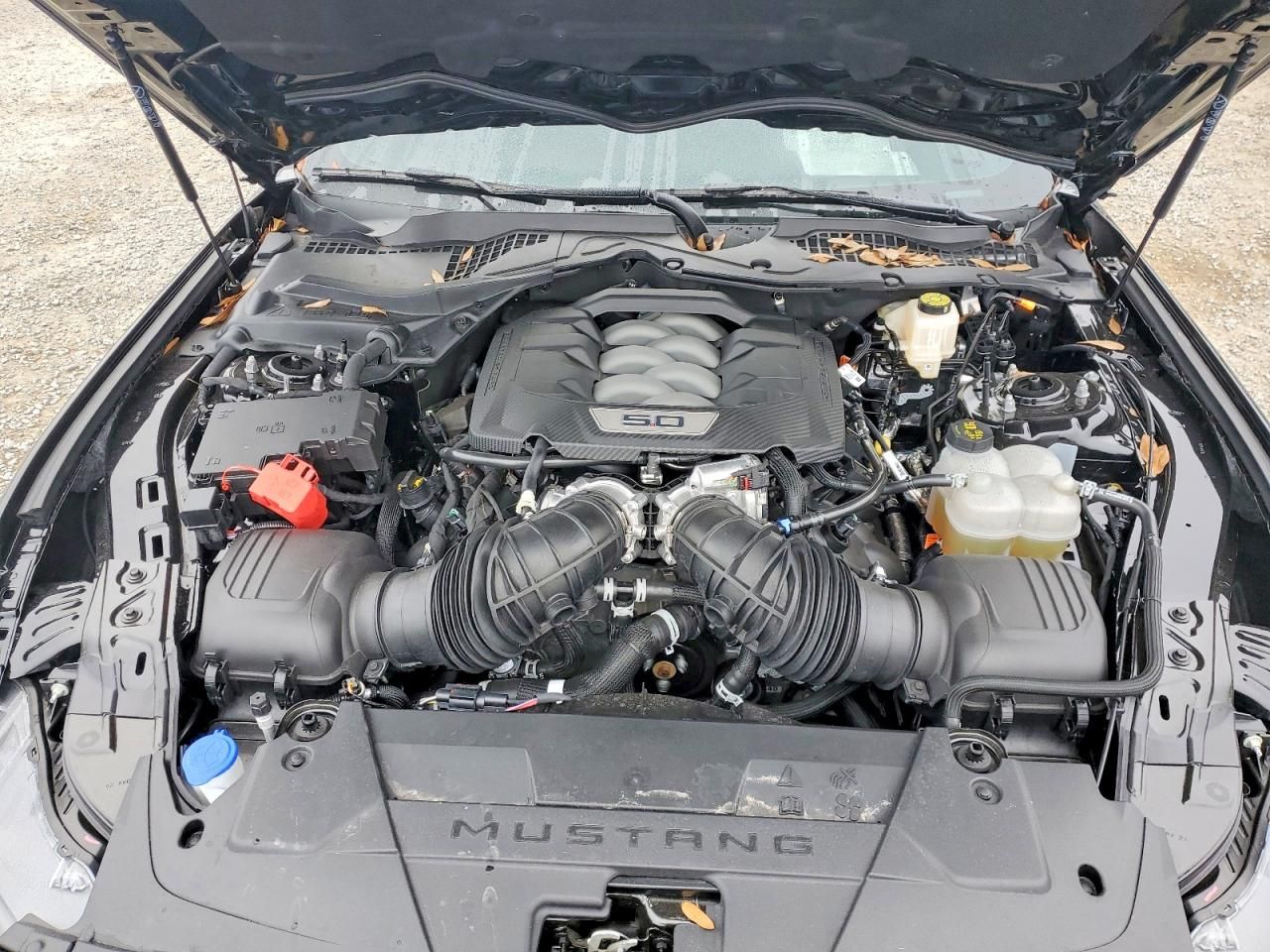 2025 Ford Mustang gt