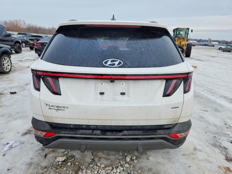2023 Hyundai Tucson Limited