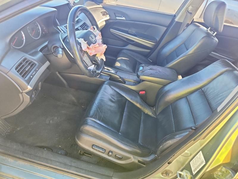 2010 Honda Accord exl