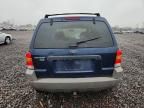 2002 Ford Escape XLT