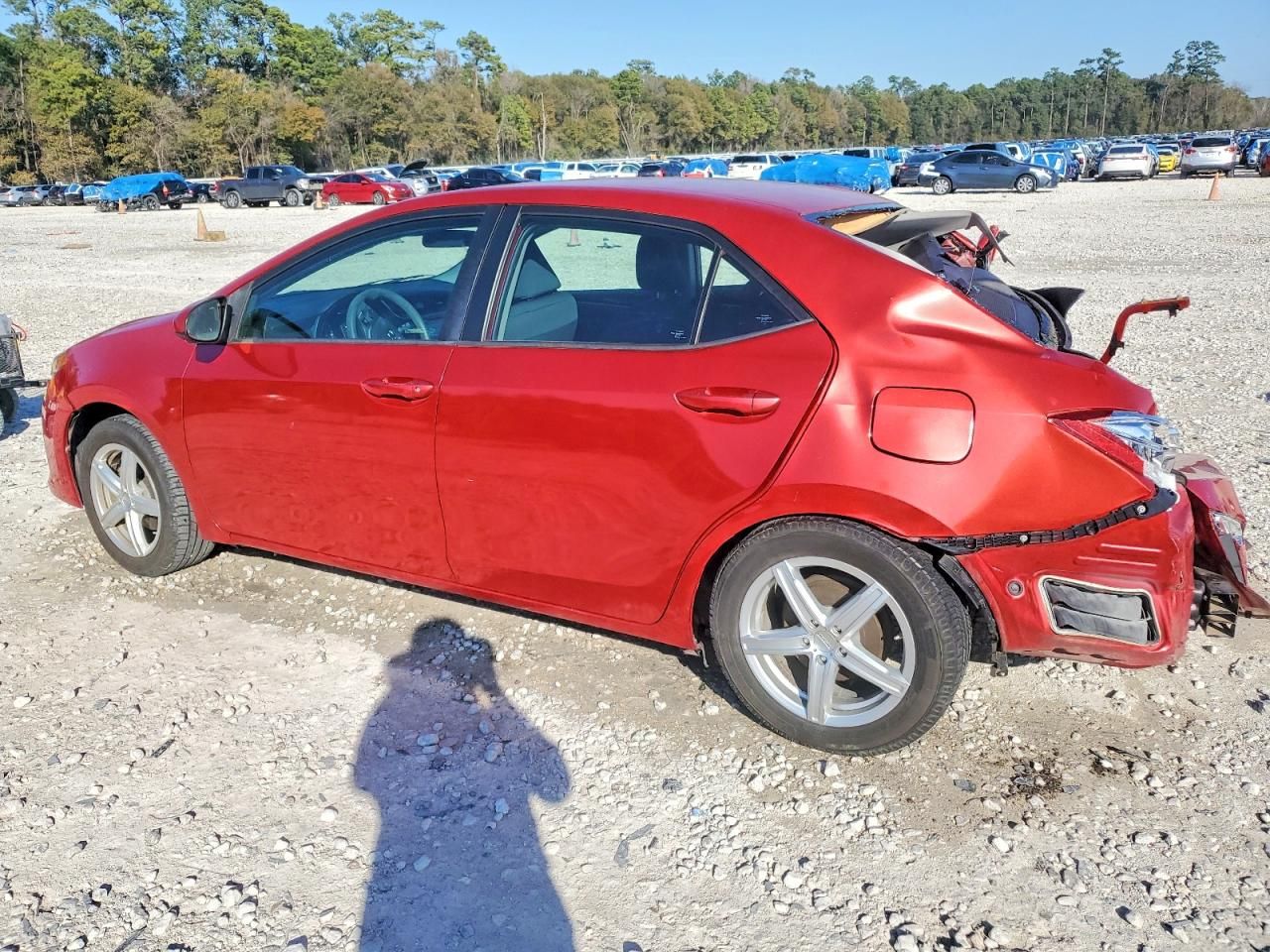 2019 Toyota Corolla l