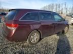 2014 Honda Odyssey lx