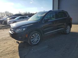 Volkswagen salvage cars for sale: 2016 Volkswagen Tiguan s