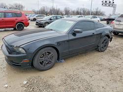 2013 Ford Mustang for sale in Moraine, OH