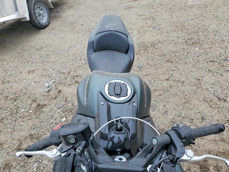 2025 Kawasaki EX650 P