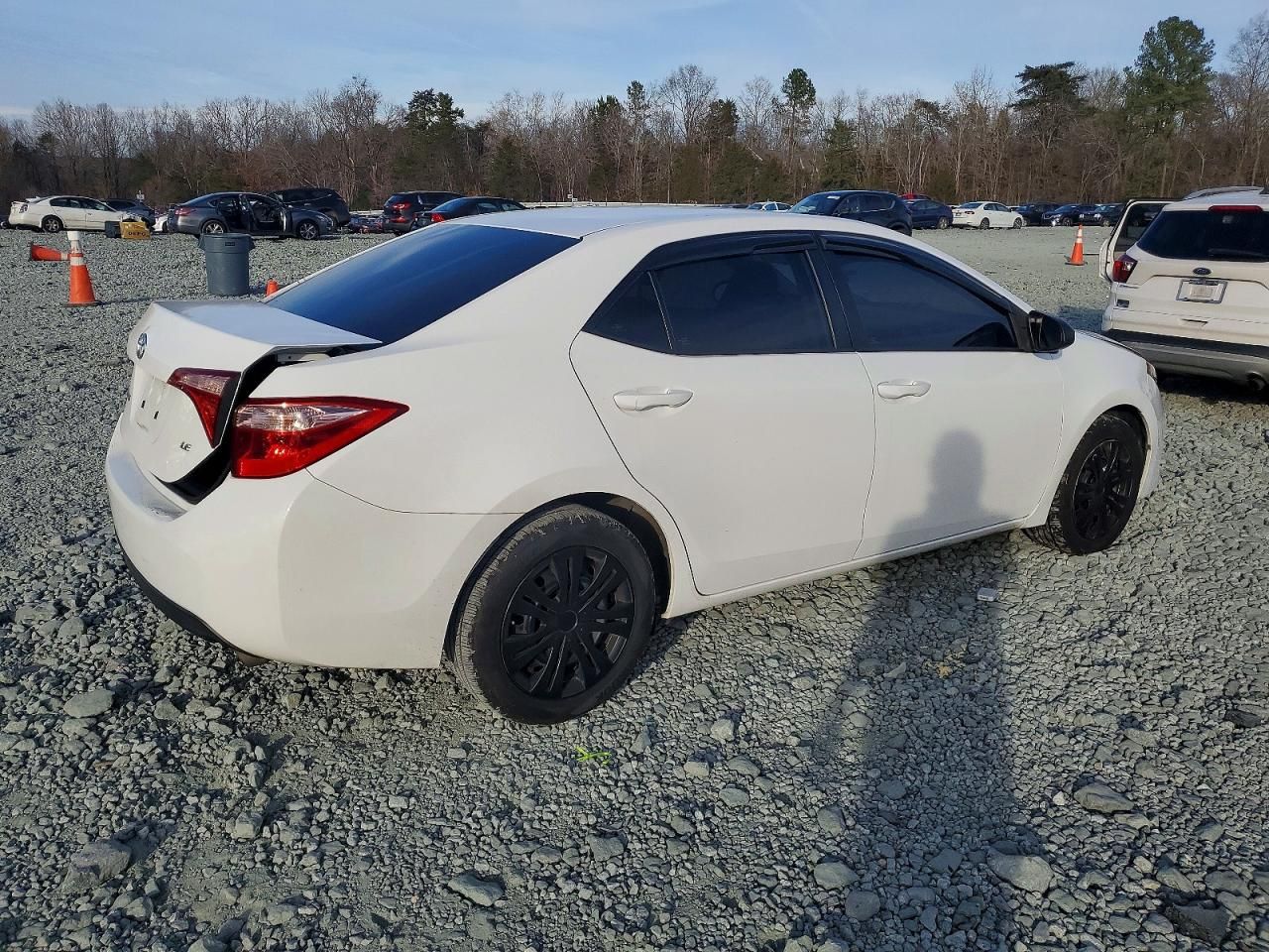 2019 Toyota Corolla l