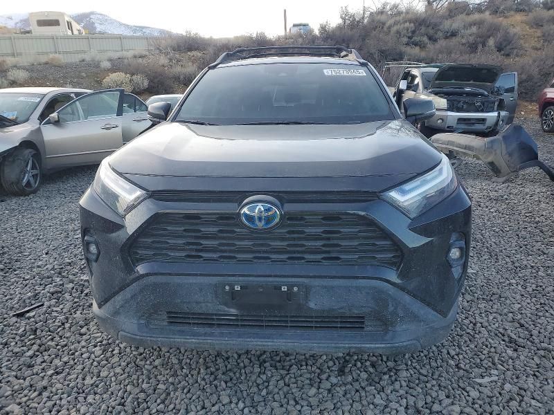 2024 Toyota Rav4 Hybrid Woodland Edition