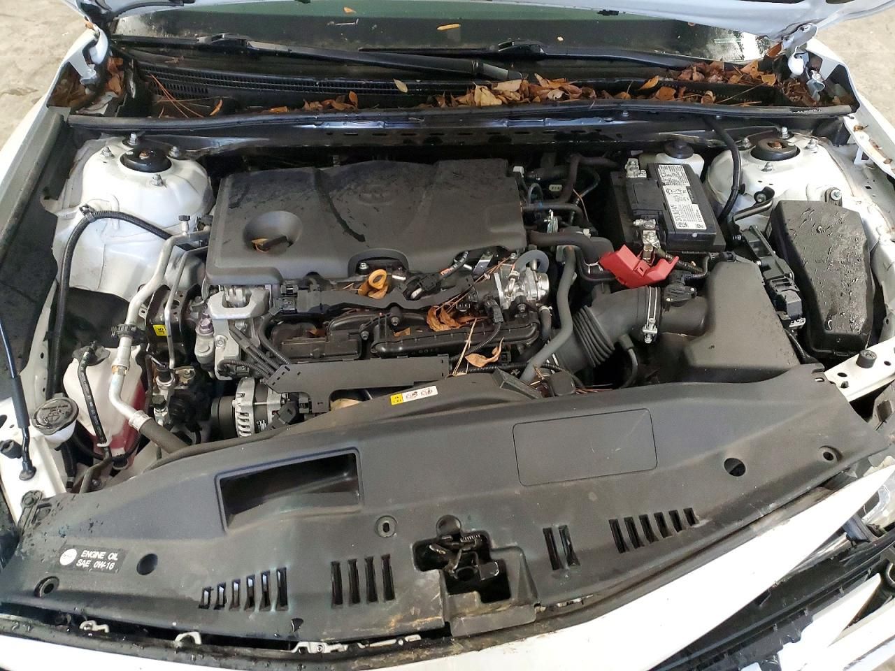 2022 Toyota Camry xle