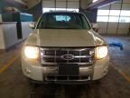 2009 Ford Escape Limited