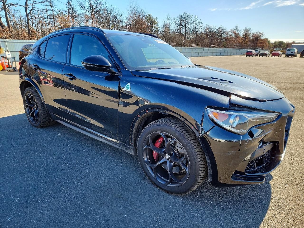 2019 Alfa Romeo Stelvio Quadrifoglio