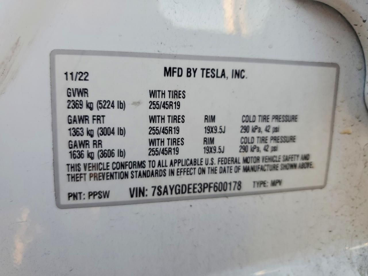 2023 Tesla Model y