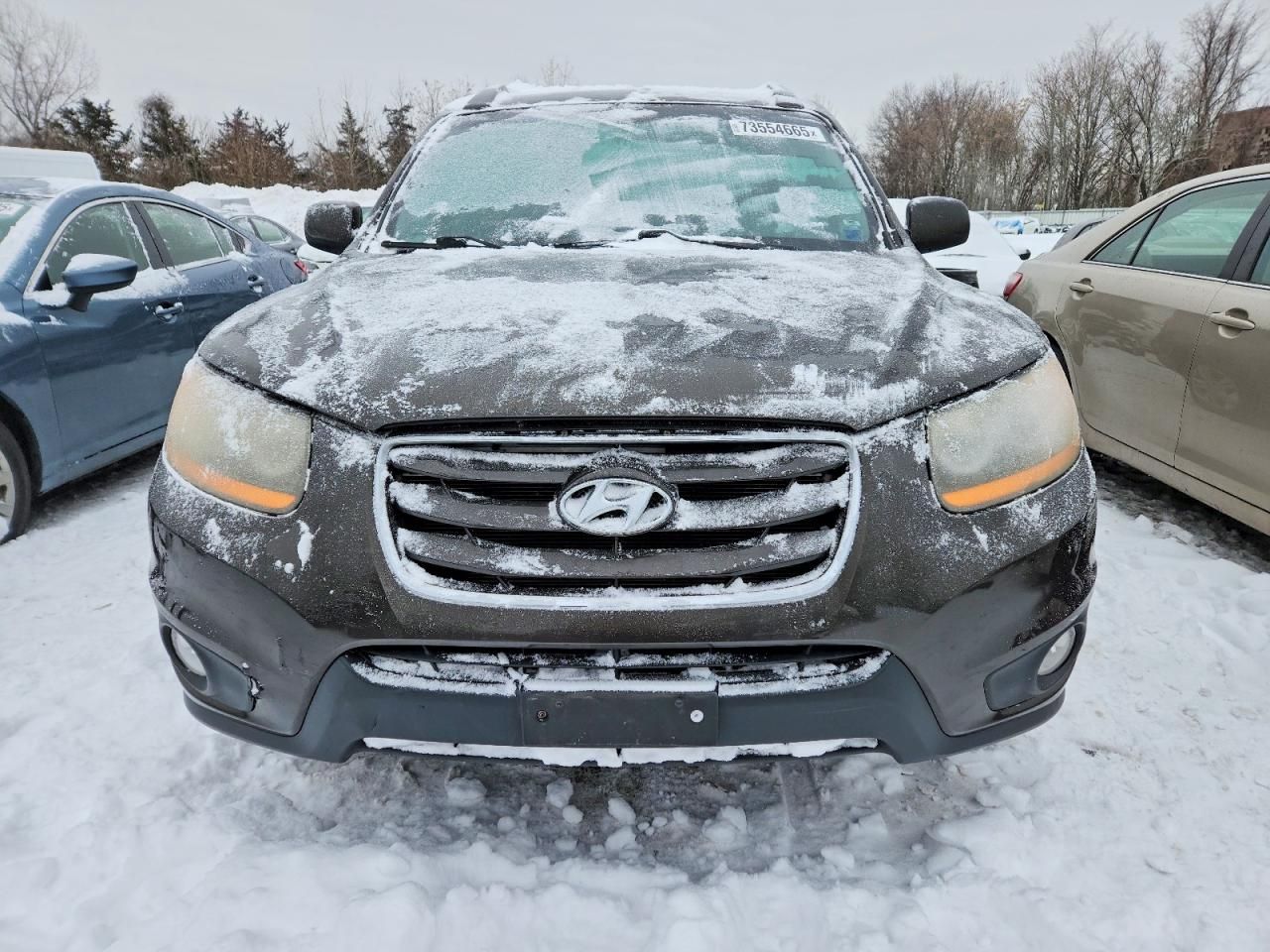 2011 Hyundai Santa fe se